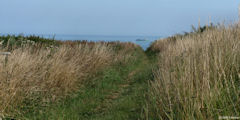 Dieppe (Sentier 2)