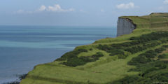Berneval le Grand (Falaise 1)