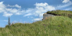 St Martin en Campagne (Falaise)
