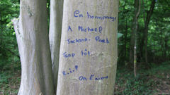 Pierrefitte en Beauvaisis (Hommage)