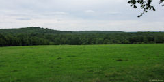 Savignies (Bois)