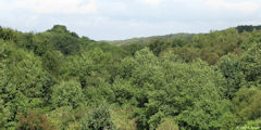 St Pierre en Port (Bois Boulais 2)