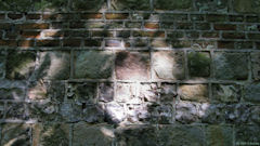 St Martin aux Buneaux (Mur)