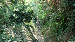 St Martin aux Buneaux (Sente)