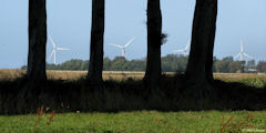 Vinnemerville (Eoliennes)