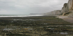Yport (Falaises 2)