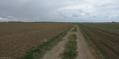 Eletot (Chemin 1)