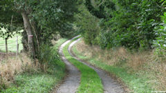 Eletot (Chemin 2)