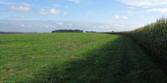 Ganzeville (Chemin 1)