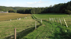 Ganzeville (Chemin 2)
