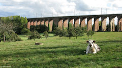 Mirville (Viaduc 3)