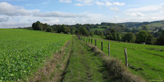 St Martin Osmonville (Chemin 1)