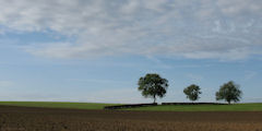 Bosc Mesnil (Trois Arbres 1)