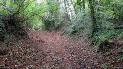 Bully (Chemin 2)