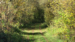 Guilmécourt (Chemin Vert 1)