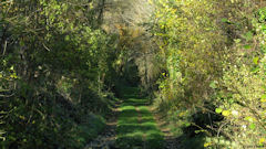 Guilmécourt (Chemin Vert 2)