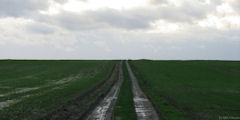 St Martin le Gaillard (Chemin 2)