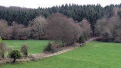 Le Mesnil Réaume (Gomare)