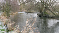 Beauchamps (Bresle 1)