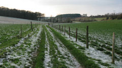 Dargnies (Chemin)