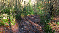 Houlbec Cocherel (Chemin)