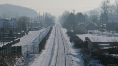 Crosville sur Scie (Voie Ferrée)