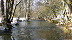 Crosville sur Scie (Scie)