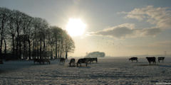 La Chapelle du Bourgay (Vaches)