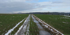 Sauqueville (Chemin)