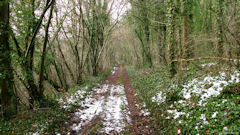 Hermanville (Chemin 1)