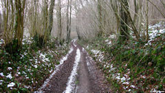 Hermanville (Chemin 2)