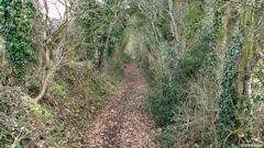 Thil Manneville (Chemin)