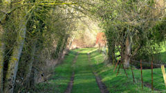 Gueures (Chemin)