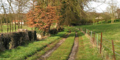 Ambrumesnil (Chemin 2)