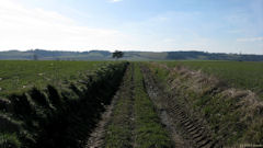 Sommery (Chemin)