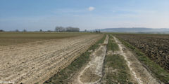 La Ferté St Samson (Chemin)