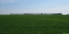 Berneval le Grand (Plaine)