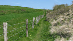 Berneval le Grand (Sentier)