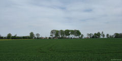 Glicourt (Plaine 1)