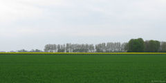 Tourville la Chapelle (Plaine)