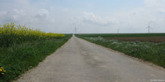 Penly (Chemin)