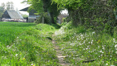 Tourville la Chapelle (Chemin)