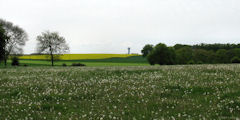 Harcanville (la Bataille)