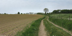 Carville Pot de Fer (Chemin)