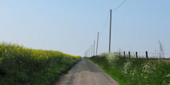 Etoutteville (Route)