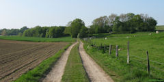 Yvecrique (Chemin 1)