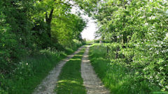 Yvecrique (Chemin 2)