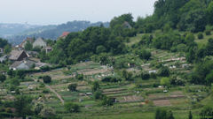 Rouen (Jardins familiaux)