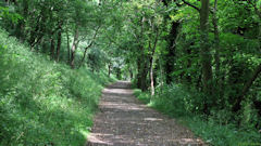 Rouen (Chemin 1)