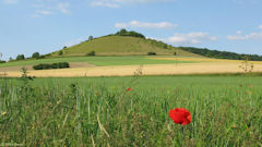 St Pierre es Champs (Mont 2)